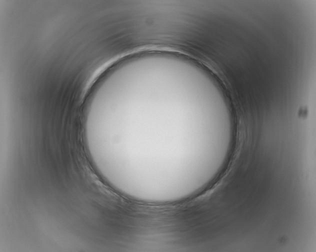 X0000113940926200909250936