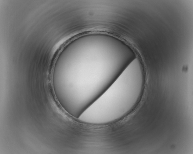 X0000113940928200909250936