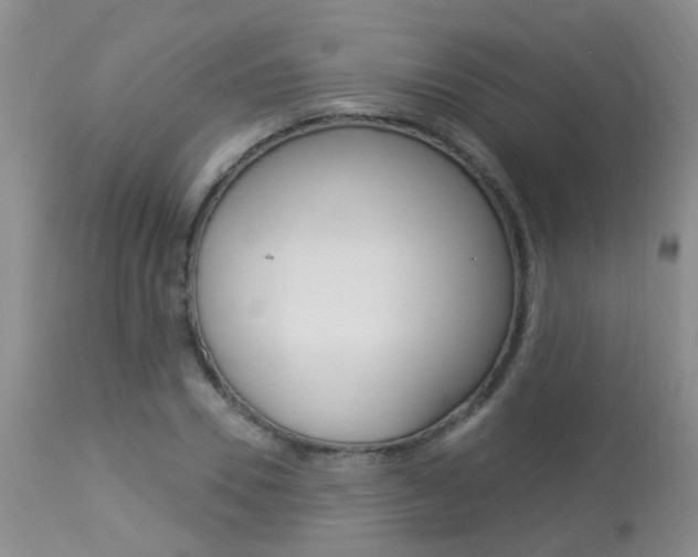 X0000113940930200909250936