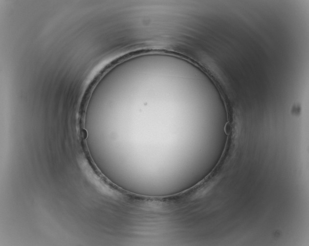 X0000113940932200909250936