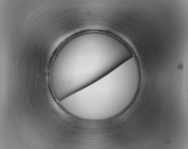 X0000113940935200909250936