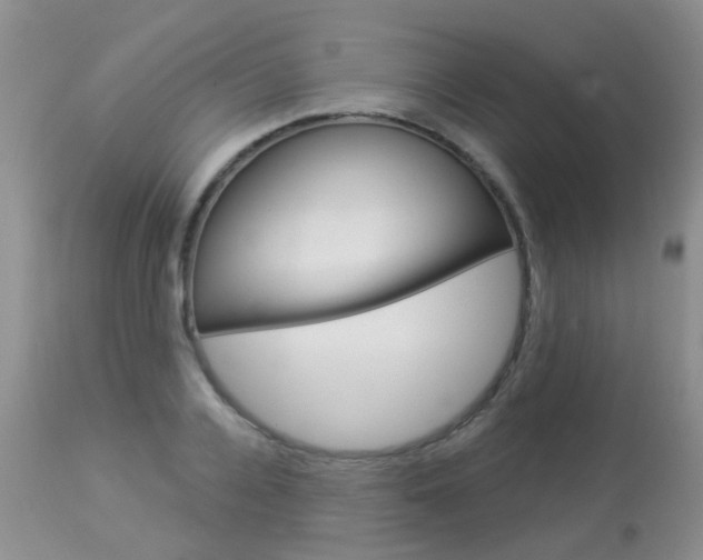X0000113940936200909250936