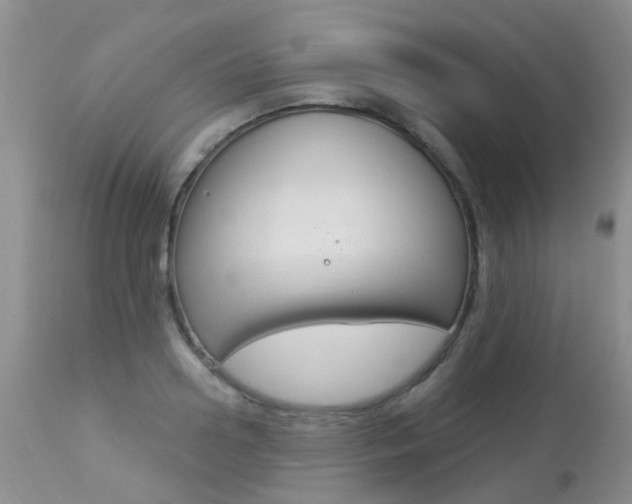 X0000113940938200909250936