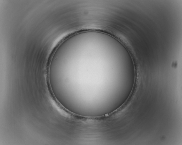 X0000113940942200909250936
