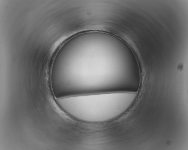 X0000113940944200909250936
