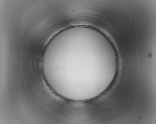 X0000113940945200909250936