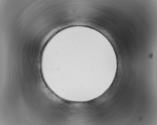 X0000113940950200909250936