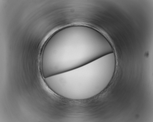 X0000113940955200909250936