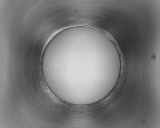 X0000113940956200909250936