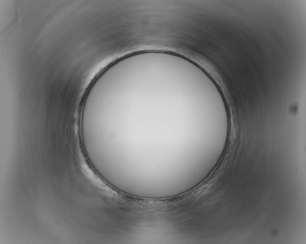X0000113940958200909250936