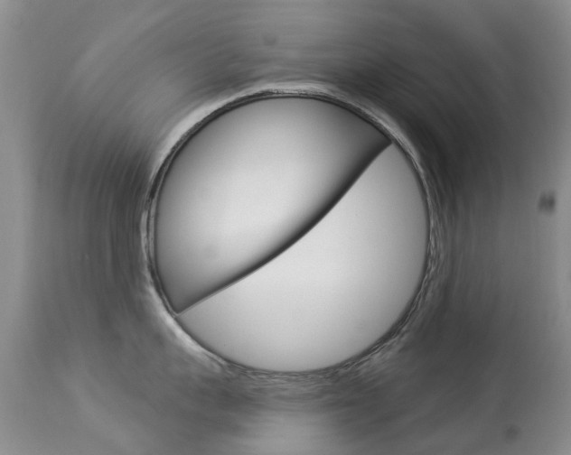 X0000113940959200909250936