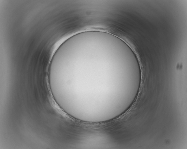 X0000113940960200909250936