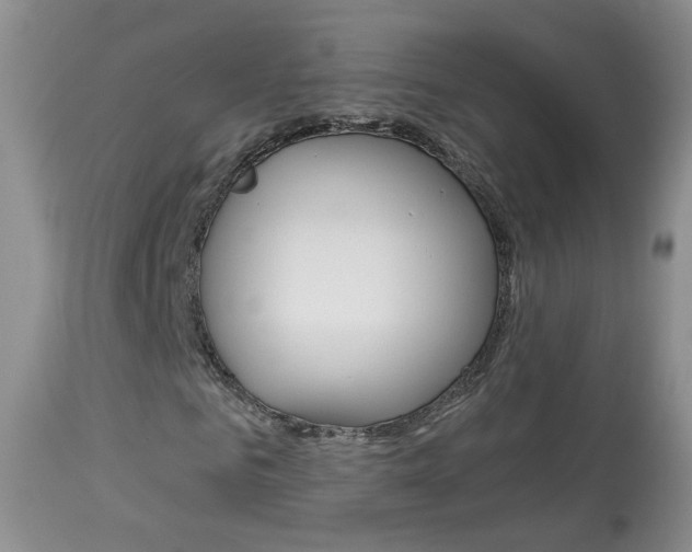 X0000113940961200909250936
