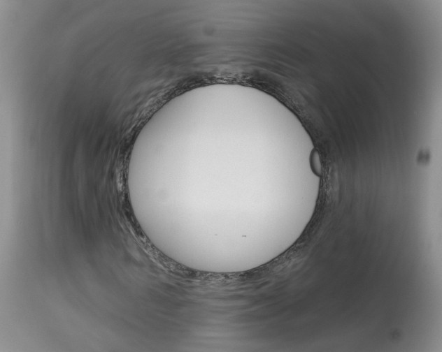 X0000113940962200909250936