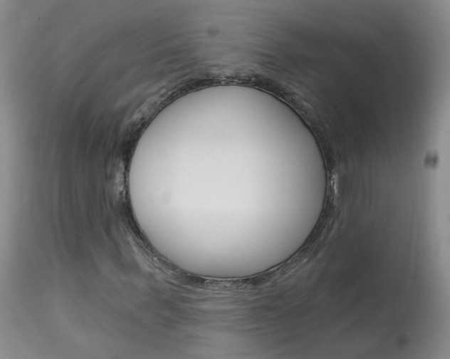 X0000113940963200909250936