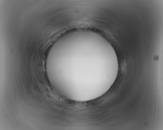 X0000113940964200909250936