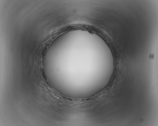 X0000113940965200909250936