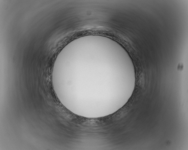 X0000113940966200909250936