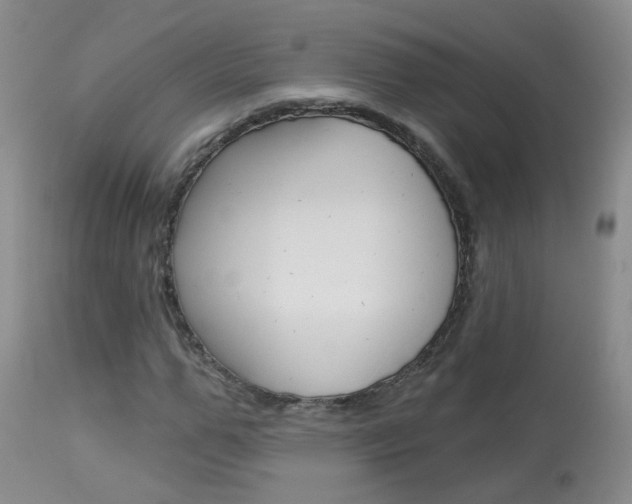 X0000113940967200909250936