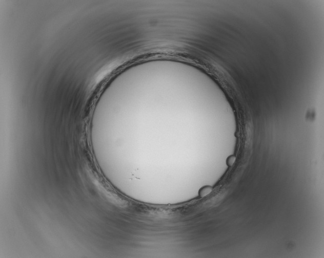 X0000113940970200909250935