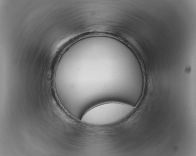 X0000113940971200909250935
