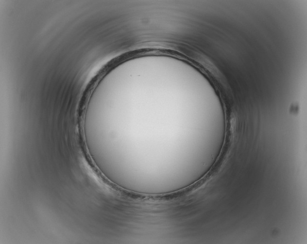 X0000113940972200909250935