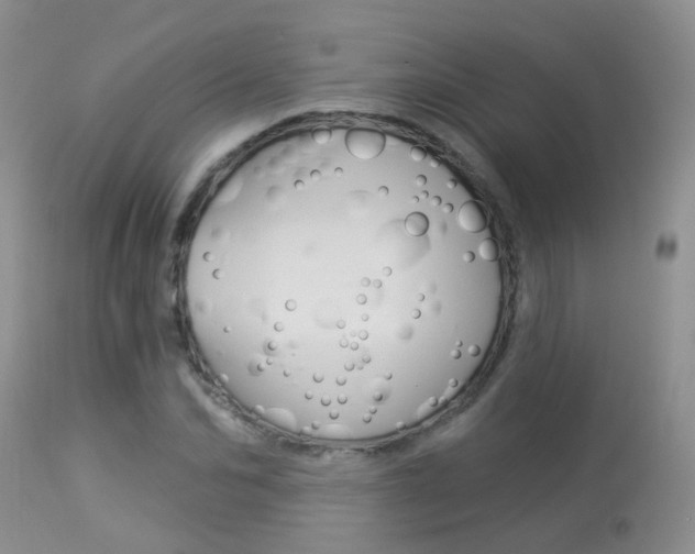 X0000113940974200909250935