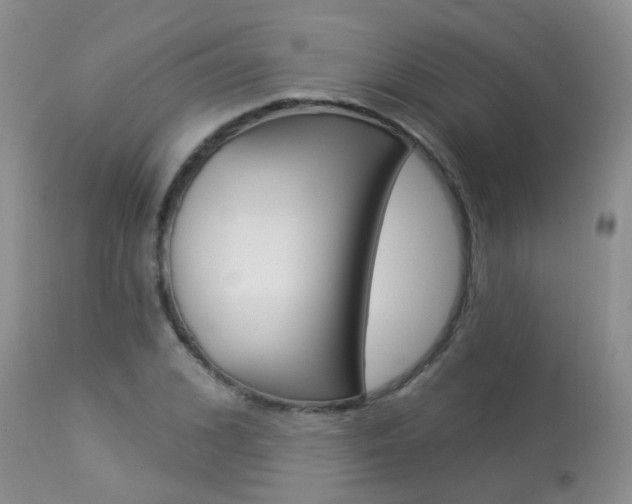 X0000113940976200909250935