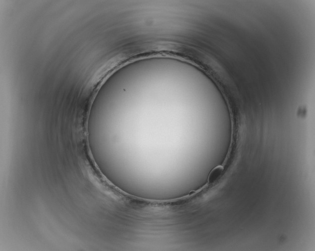 X0000113940977200909250935