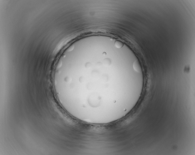 X0000113940978200909250935