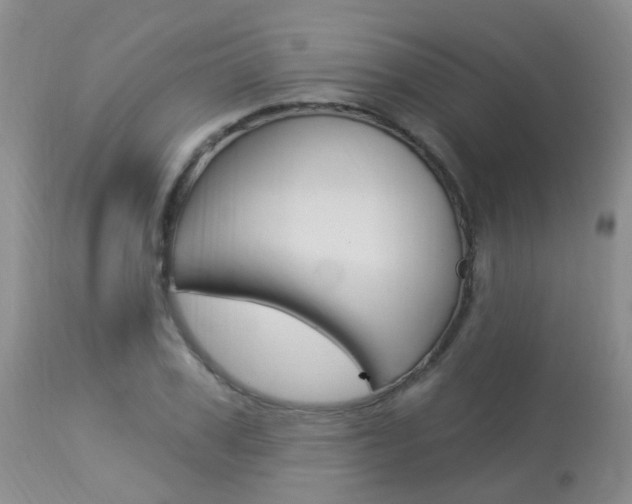 X0000113940979200909250935