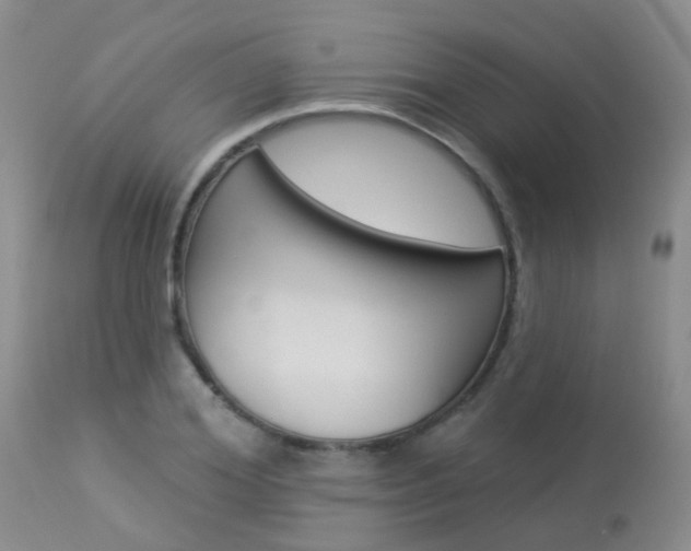 X0000113940980200909250935