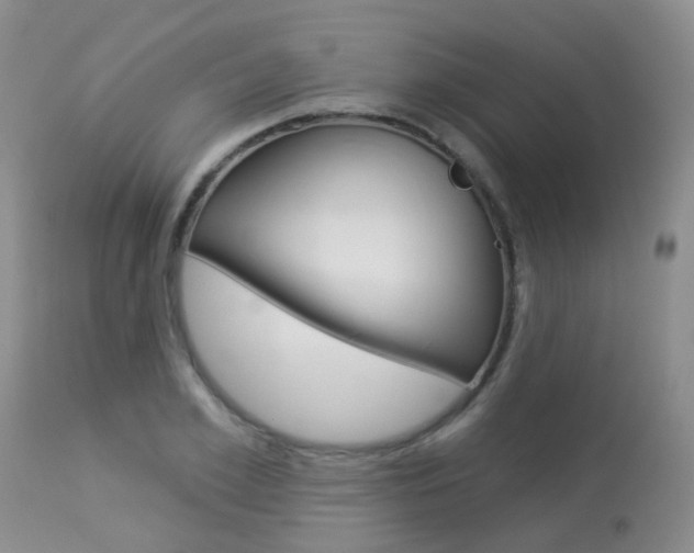X0000113940981200909250935