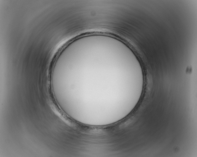 X0000113940982200909250935