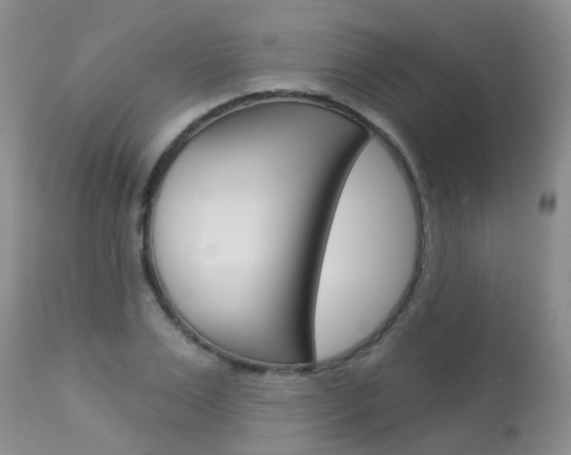 X0000113940983200909250935