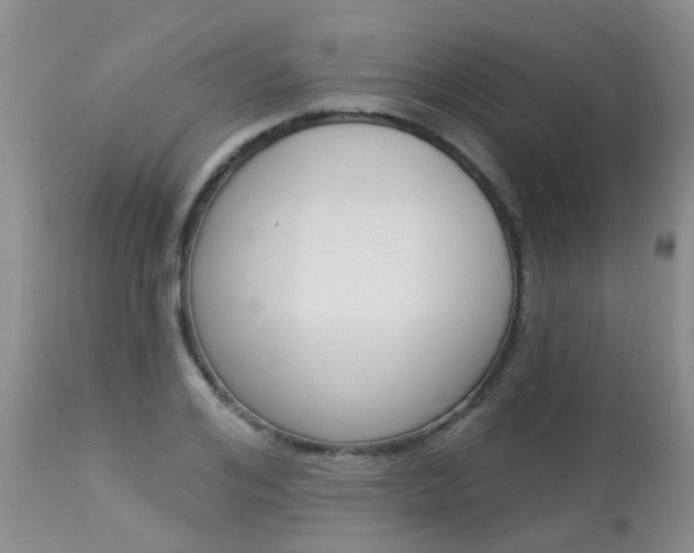 X0000113940984200909250935