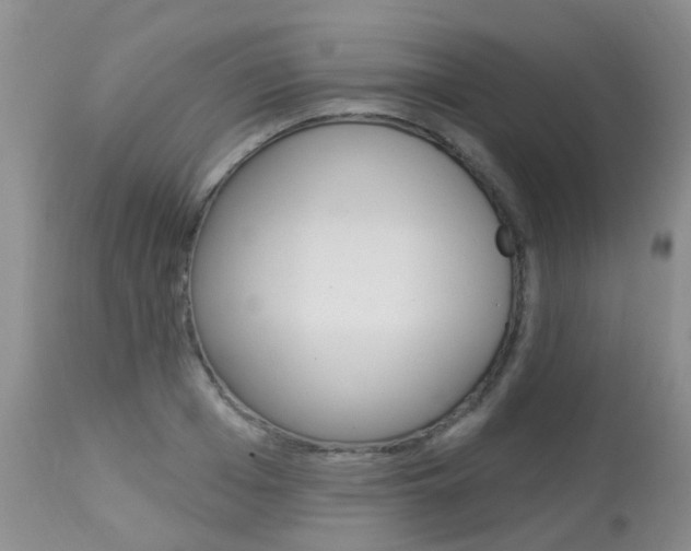 X0000113940985200909250935