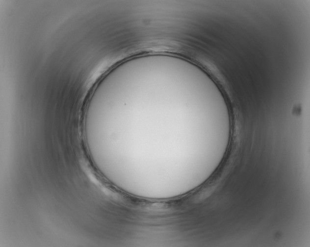 X0000113940986200909250935