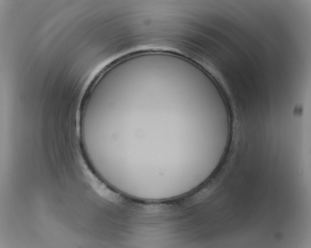 X0000113940988200909250935