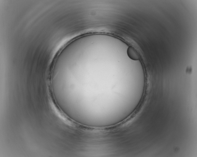 X0000113940989200909250935