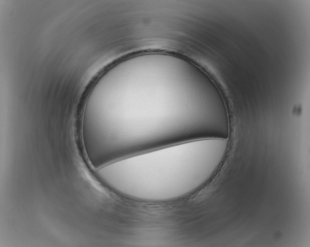 X0000113940991200909250935