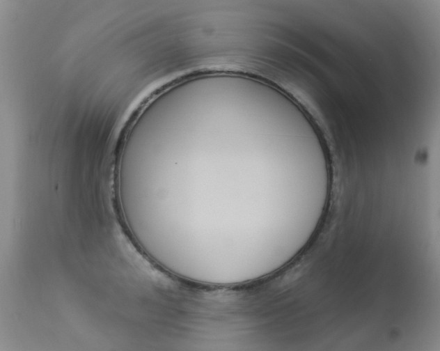 X0000113940992200909250935