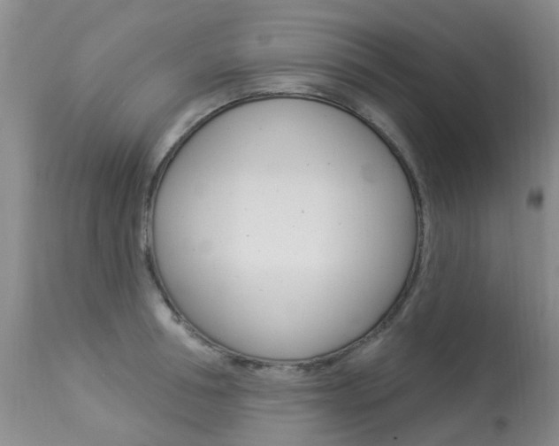 X0000113940994200909250935