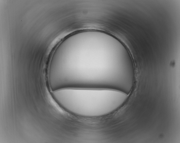 X0000113940995200909250935