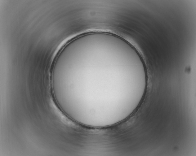 X0000113940996200909250935