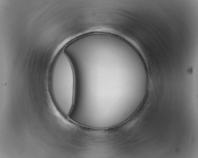 X0000113940999200909250935