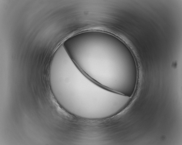 X0000113941001200909250935