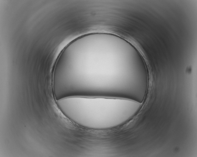 X0000113941004200909250935