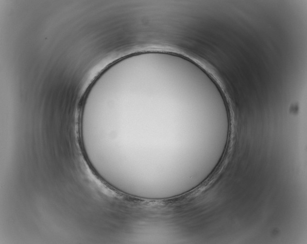X0000113941006200909250935