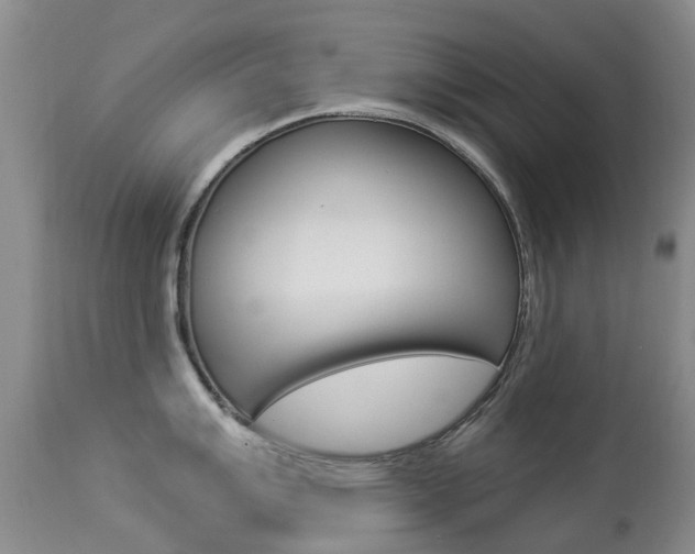 X0000113941007200909250935